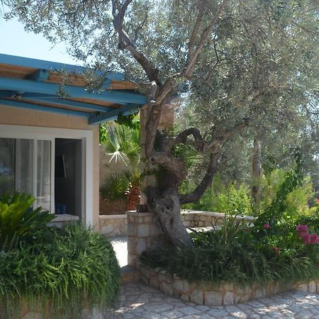 Casa Marimar Boutique Bungalows & Suites 波多河丽 外观 照片